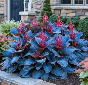 Хоста Грин Фог купить по цене от 669р. в интернет-магазине «Посадика» с доставкой почтой в в Мышкине и по всей России – [изображение №1].