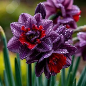 Нарцисс Минт Флер купить по цене от 2000р. в интернет-магазине «Посадика» с доставкой почтой в в Мышкине и по всей России – [изображение №1].