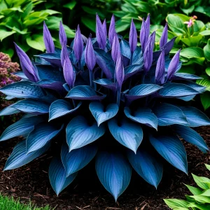 Хоста Сикрет Гров купить по цене от 570р. в интернет-магазине «Посадика» с доставкой почтой в в Мышкине и по всей России – [изображение №1].