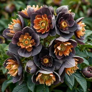 Морозник Блум Айс купить по цене от 499р. в интернет-магазине «Посадика» с доставкой почтой в в Мышкине и по всей России – [изображение №1].