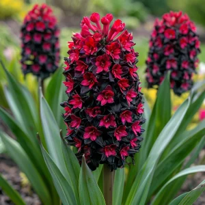 Гиацинт Джем Стоун купить по цене от 2099р. в интернет-магазине «Посадика» с доставкой почтой в в Мышкине и по всей России – [изображение №1].