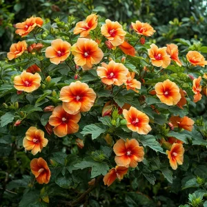 Гибискус Кристал Рэй купить по цене от 458р. в интернет-магазине «Посадика» с доставкой почтой в в Мышкине и по всей России – [изображение №1].