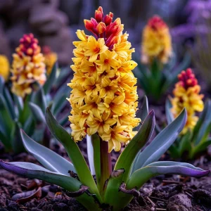 Гиацинт Миднайт Мистери купить по цене от 2099р. в интернет-магазине «Посадика» с доставкой почтой в в Мышкине и по всей России – [изображение №1].