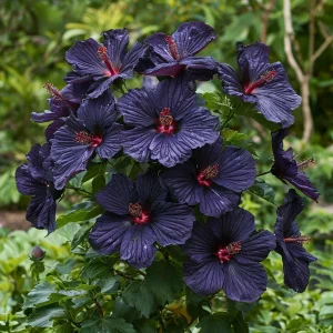 Гибискус Мэджик Момент купить по цене от 699р. в интернет-магазине «Посадика» с доставкой почтой в в Мышкине и по всей России – [изображение №1].