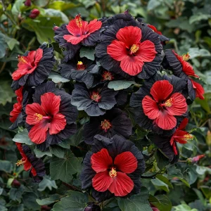 Гибискус Шиммеринг купить по цене от 720р. в интернет-магазине «Посадика» с доставкой почтой в в Мышкине и по всей России – [изображение №1].