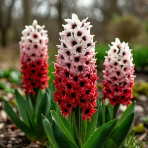 Гиацинт Скай Гарден купить по цене от 2099р. в интернет-магазине «Посадика» с доставкой почтой в в Мышкине и по всей России – [изображение №1].