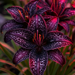 Лилейник Вояж купить по цене от 699р. в интернет-магазине «Посадика» с доставкой почтой в в Мышкине и по всей России – [изображение №1].